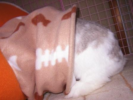 ☆ドラ８本目☆