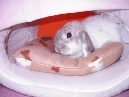 ☆ドラ９本目☆