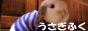 ☆うさぎふくさんバナー☆