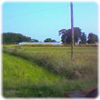 ☆おうちの前☆