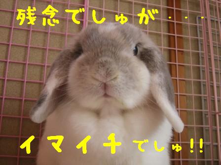 ☆判決を言い渡すの巻☆