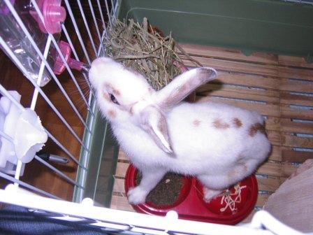 ☆　悪顔のたけるくん　☆