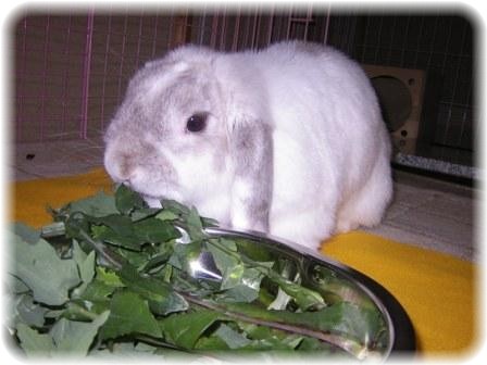 ☆　(￣￢￣*)じゅるぅうううう　☆