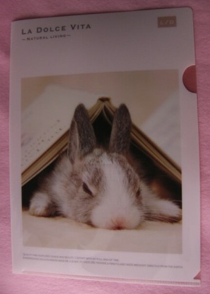 ☆なんちゃってうさお坊ちゃん☆