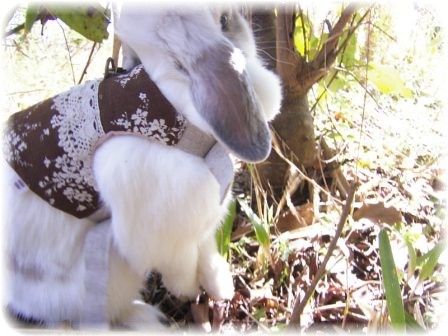 ☆初めてばかりでつ☆