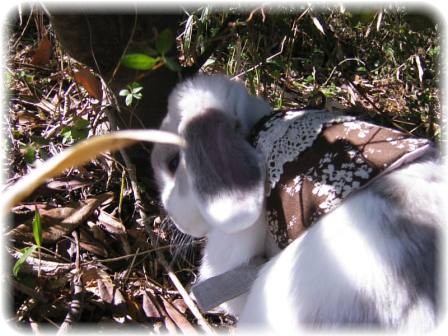 ☆ほりほりざます！☆