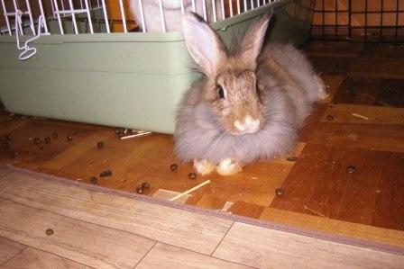 ☆だって開いてたし～。☆