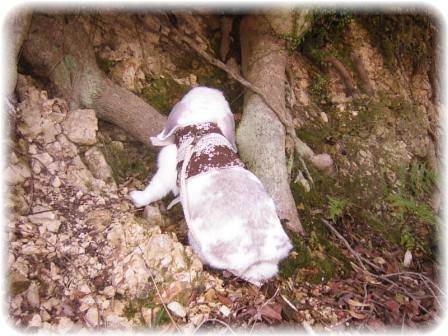 ☆探検なり(*≧∇≦)ﾉ☆