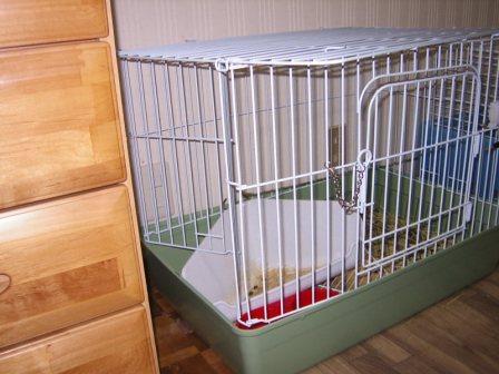 ☆あらま、確かにｗ☆