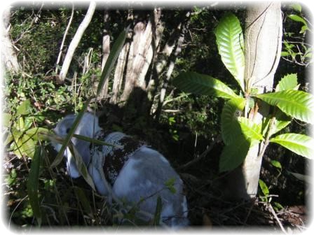 ☆どんどん行きましゅ☆