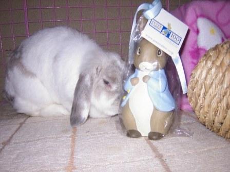 ☆訝しいお顔の姫チェック☆