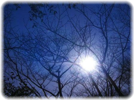 ☆お空もキレイ☆