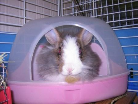 ☆ひっきーなあいぼん☆