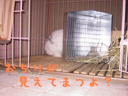 おちり見えてまつぞ☆