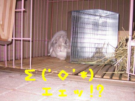 Σ('◇'*)エェッ!?