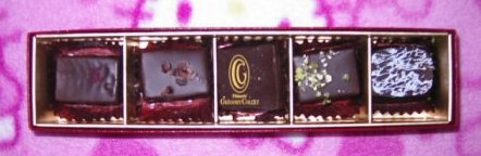 ☆グレゴリーコレざますっ(*'◇'*ﾉ)ﾉ☆