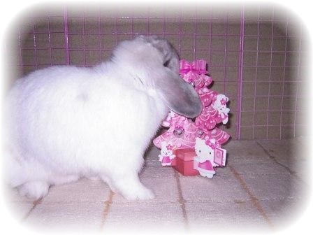 ☆キティのツリー☆