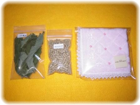 ☆カモちゃんプレ(*^m^*) ☆