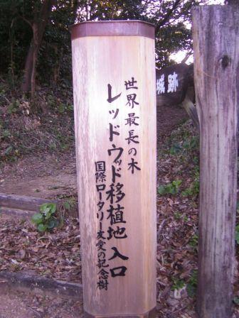 ☆レッドウッドの看板ナリ☆