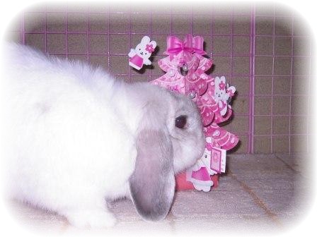 ☆キティのツリー２☆