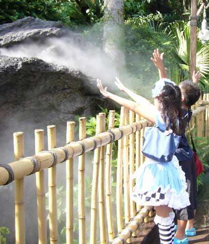 ★ディズニーランド・ハロウィン2011★デコレーション・飾り付け・プラザ・エントランス・ウエスタンランド