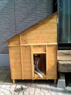 犬小屋正面