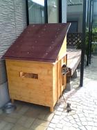 犬小屋とラッシー