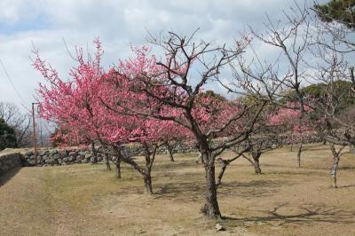 松阪城-3