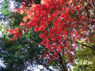 油山寺-3