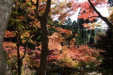 大洞院-3