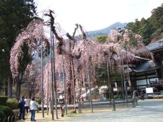 久遠寺-4