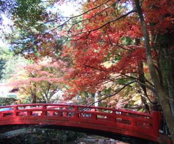 小國神社-1