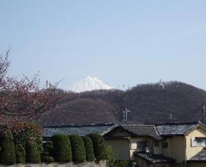 武田神社-6