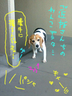 060302_1240~01.JPG