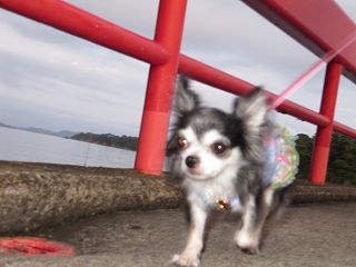 はやくホテルいこーわん