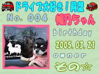 ドライブ大好き同盟