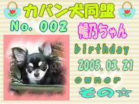 カバン犬同盟会員証