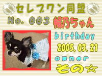 セレブワン同盟会員証