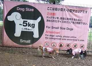 小型犬エリア