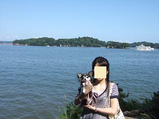 いいおてんきだわんね