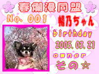 春爛漫同盟会員証