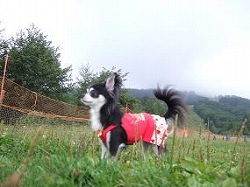 清里ドッグランにて