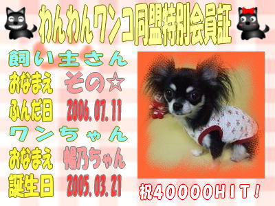☆40000hitの記念☆