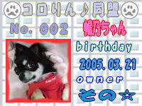 コロりん♪同盟会員証