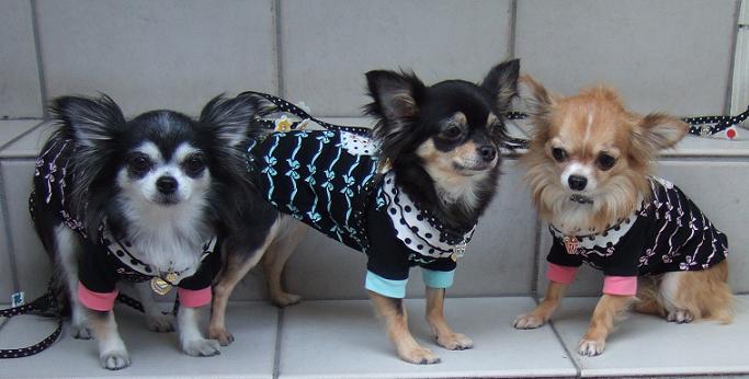 暢乃・胡桃ちゃん・林檎ちゃん