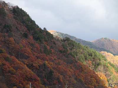 ドライブ途中紅葉