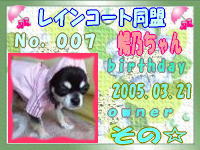 レインコート同盟会員証