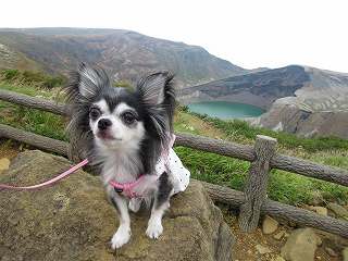 おかまがみえたわんょ