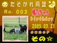 たそがれ同盟会員証