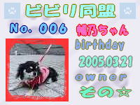 ビビリ同盟会員証